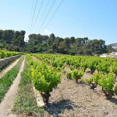 Bed and Breakfast Casa Mistela Jalón