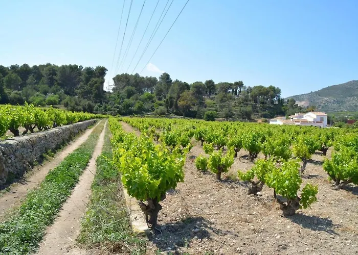 Bed & Breakfast Casa Mistela Jalón